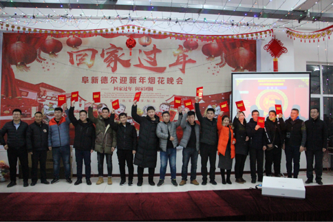 喜迎新春——暨阜新永乐国际F662019除夕烟花晚会(图4)